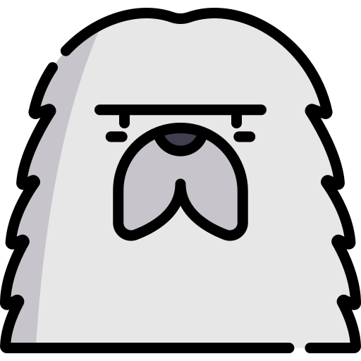 pastor