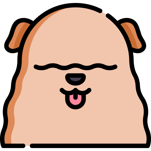 bergamasco
