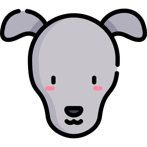 galgo