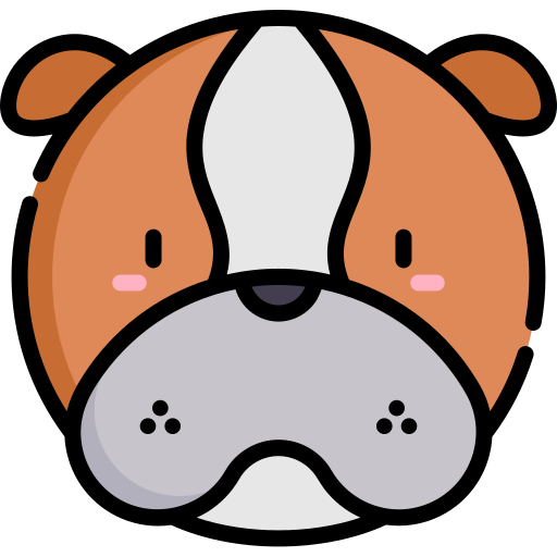 buldog